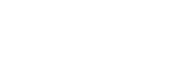 WINGS-PES for SPRING GX